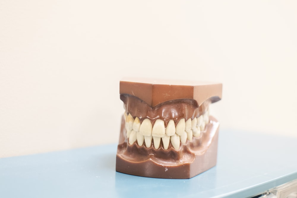 An image of a jaw model on a blue table